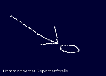 Hommingberger Gepardenforelle